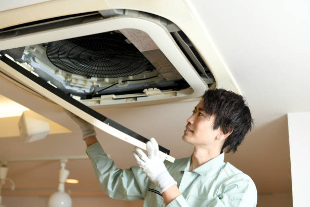 Best Home Air Vent Cleaning  in Tice, FL